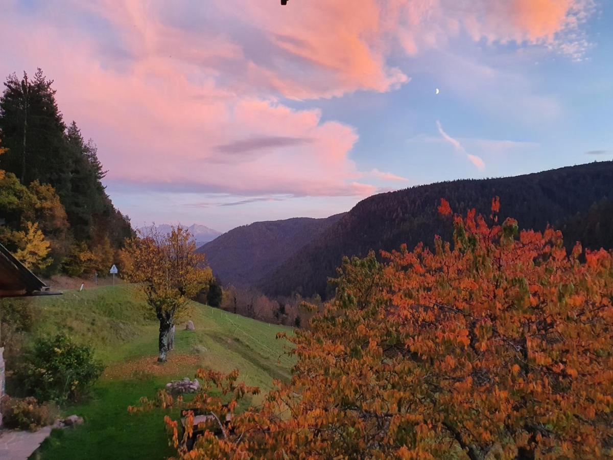 Burgerhof Villa San Genesio Atesino Dış mekan fotoğraf