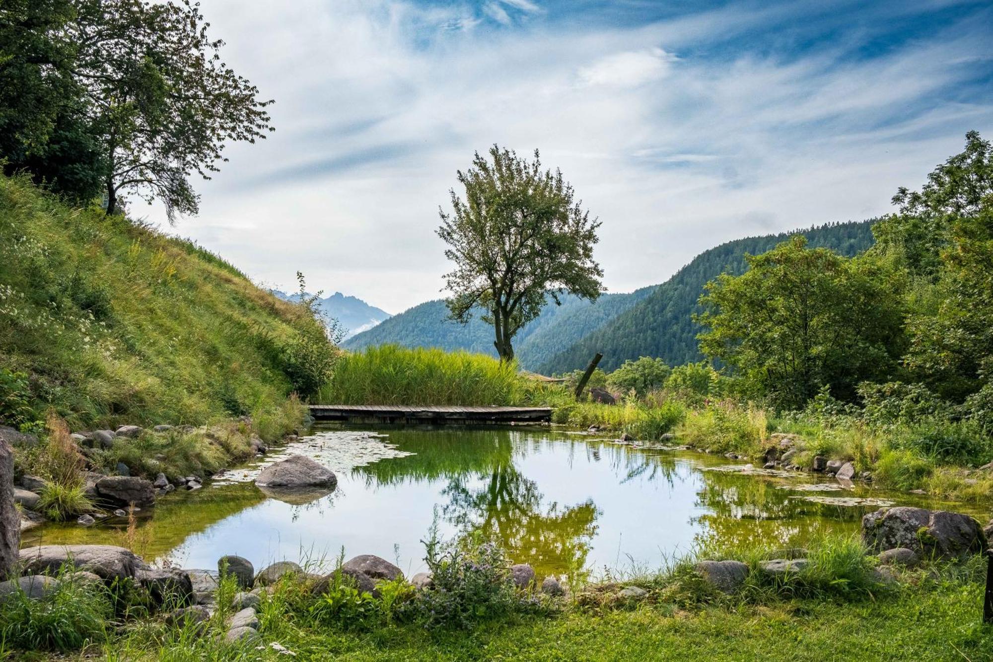 Burgerhof Villa San Genesio Atesino Dış mekan fotoğraf