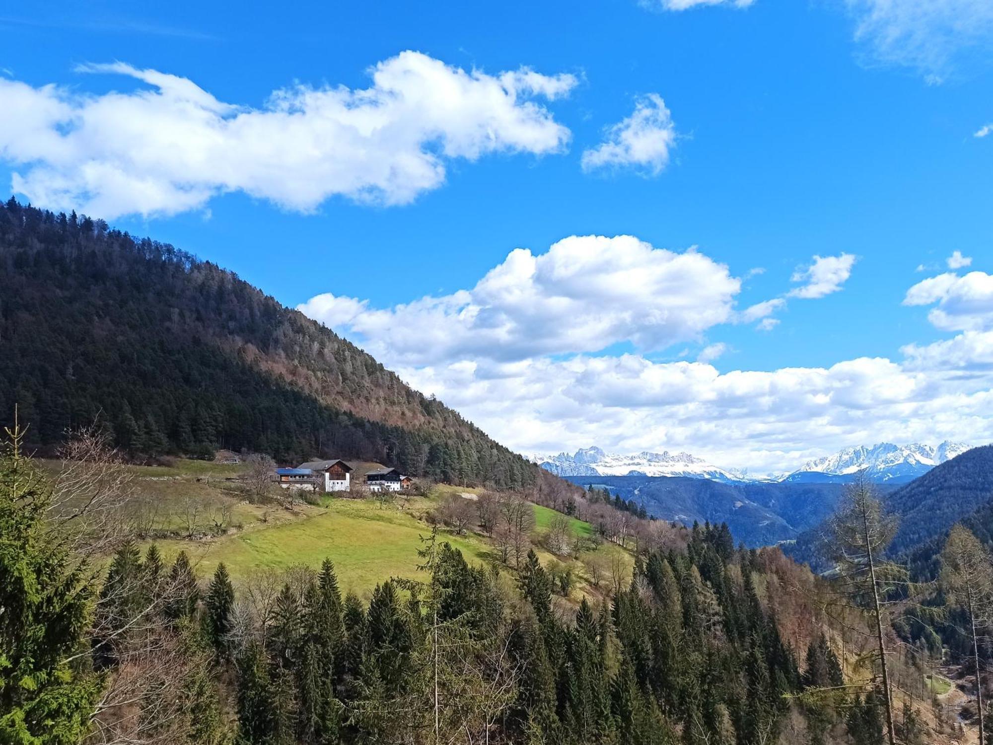 Burgerhof Villa San Genesio Atesino Dış mekan fotoğraf