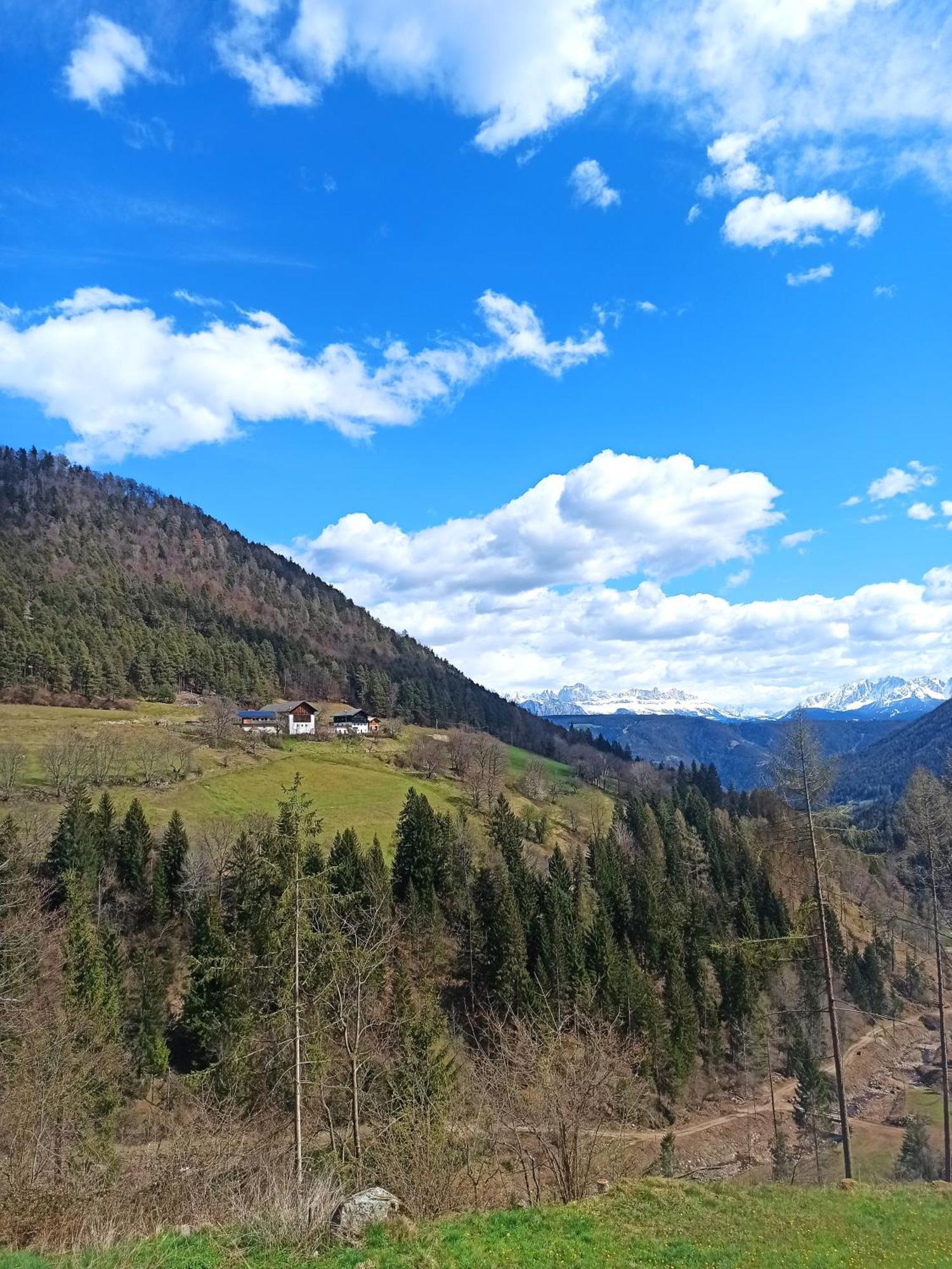 Burgerhof Villa San Genesio Atesino Dış mekan fotoğraf